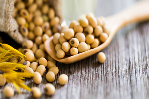 AAK acquires BIC International Holdings' lecithin business 