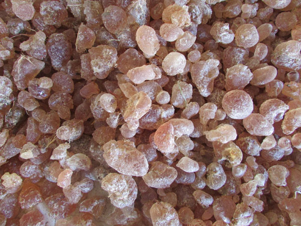 Acacia gum promotion