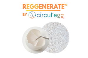 Activ’Inside becomes official major distributor of Reggenerate by Circul’Egg