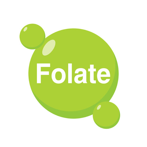 Active folate: B for beauty (and more)