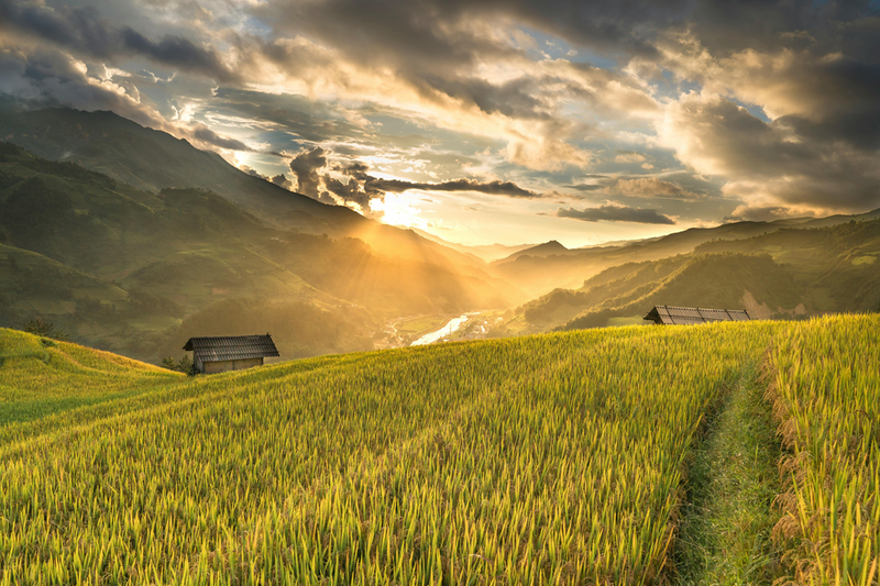 ADM exceeds 2m acre regenerative agriculture goal for 2023