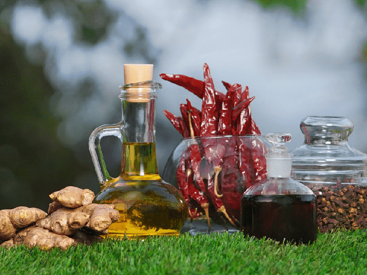 Akay’s patented hybrid-hydrogel technology provides sustained-release of soluble resveratrol