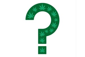 Alkemist Labs and Nutrasource launch THC verification programme