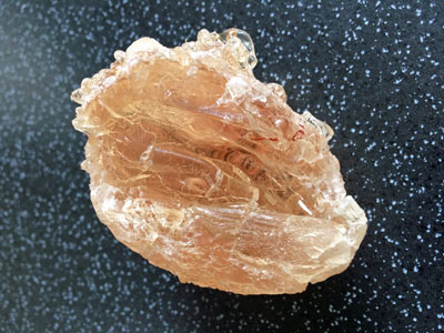 Alland & Robert and Sayaji to collaborate on acacia gum production in India