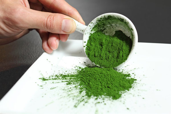 Allmicroalgae prepares for large-scale production of algae-based omega-3 and beyond