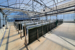 Allmicroalgae showcases sustainable nutrition at Vitafoods