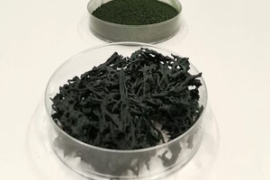 Allmicroalgae to exhibit at Vitafoods expo