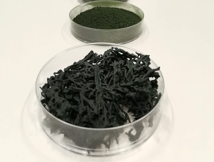 Allmicroalgae to exhibit at Vitafoods expo