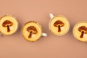 Aloha Medicinals debuts functional mushroom collection FungiFuse