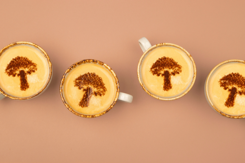 Aloha Medicinals debuts functional mushroom collection FungiFuse