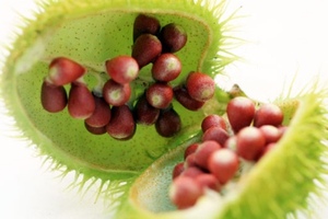 American River Nutrition launches new brand identity and website