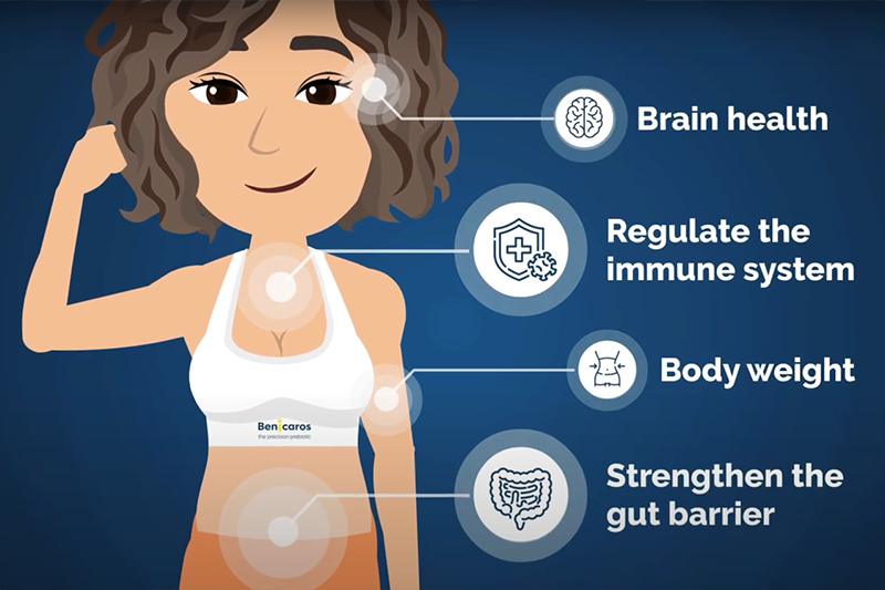 Animation series highlights gut and precision prebiotics with science