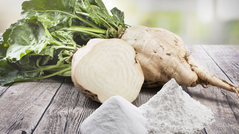 A functional ingredient approach to weight management in companion animals