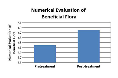 Figure 5: The positive changes in beneficial flora measured on a plus one to plus four log rhythmic change. Six species were measured and assigned a numeric value from 0-6, giving a total of 24 for each patient or a cumulative total of 72 for each patient. The point assignment for the flora from 0-4 for each patient were then added. When added, it gave a total of 42/72 initially and 48/72 at follow up of total numerical evaluation of beneficial flora
