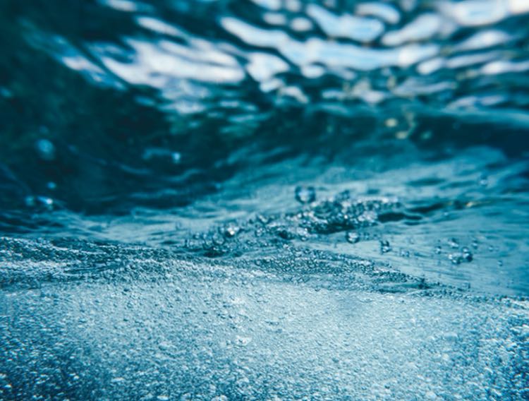 Natural Algae Astaxanthin Association