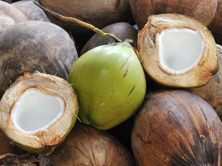 BASF transforms market towards certified, sustainably sourced coconut oil