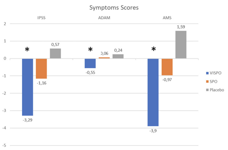 Figure 1: symptom scores (*: p<0.05)