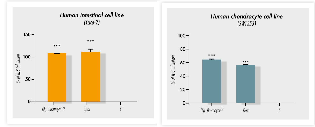 Figure 3: Inhibition of interleukin 8 (IL-8) expression after treatment with digested Bromeyal® in two different cell lines (i.e. chondrocytes and intestinal cells). Legend: Dig. = Bromeyal® after in vitro simulated gastro-intestinal digestion; Dex =dexamethasone used as positive control; C = untreated cells used as negative control. ***P<0.001 Bromeyal® vs control.