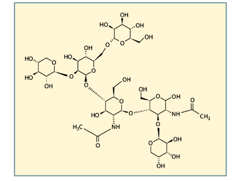 Figure 2. Bromelain chemical structure. 