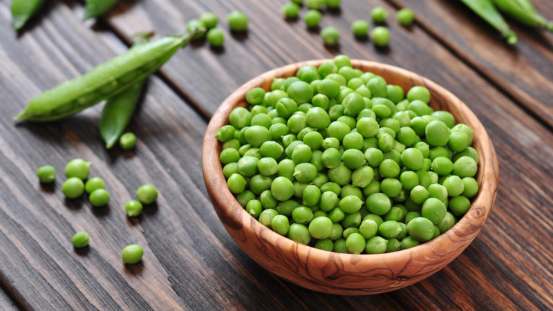 Cargill brings pea protein to META & India markets 