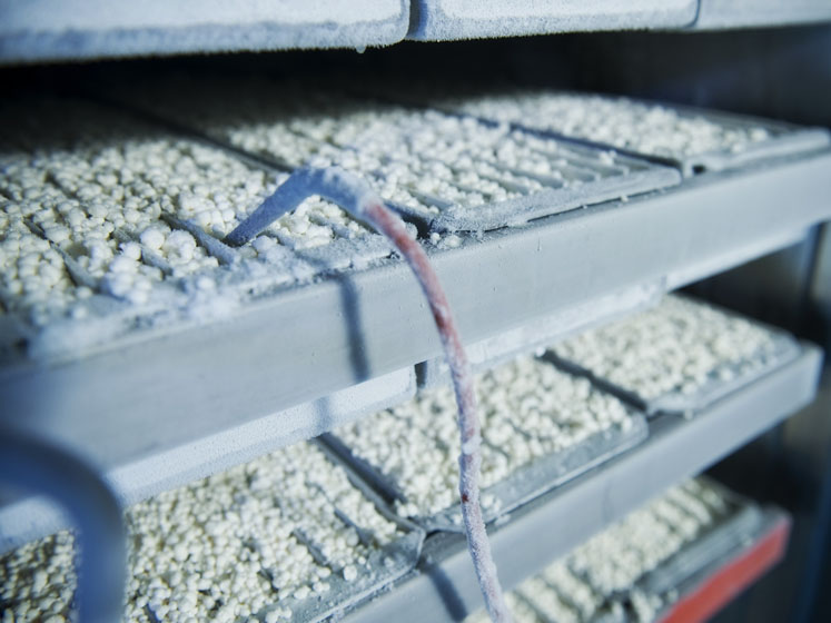 Freeze drying adds stability to growing probiotic and prebiotic market