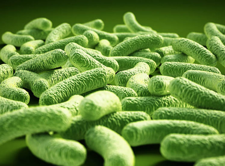 Deerland Enzymes & Probiotics’ lab is now ISO/IEC 170252005 accredited