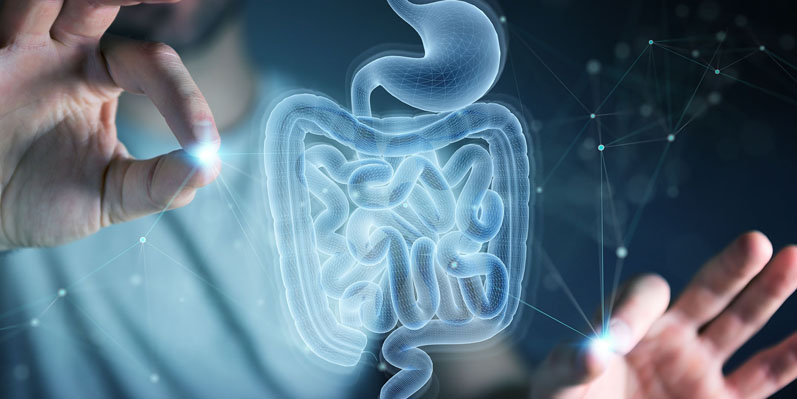 Digestive health trends in 2022 
