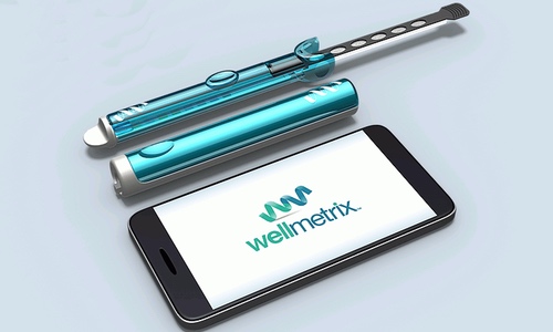 Image from Wellmetrix website. <br> To use the platform extend the wick and collect a few drops of urine