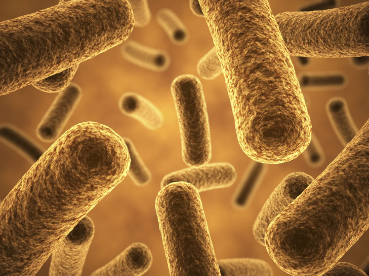 DuPont Human Microbiome Venture and P&G to research next-generation probiotics