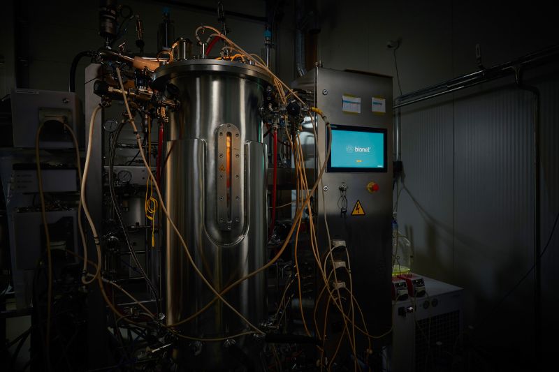 Enifer's fungi protein secures self-affirmed GRAS status