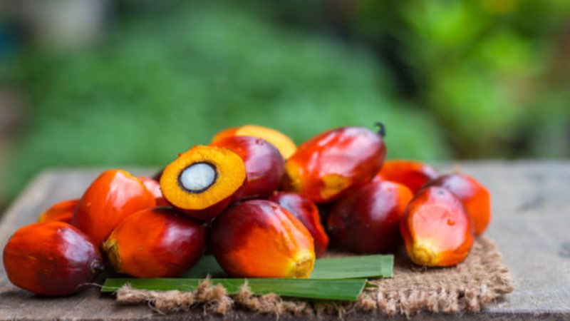 Virgin crude palm oil (<i>Elaeis guineensis</i>) is nature’s richest plant source of carotenoids <br> in terms of retinol (vitamin A) equivalents