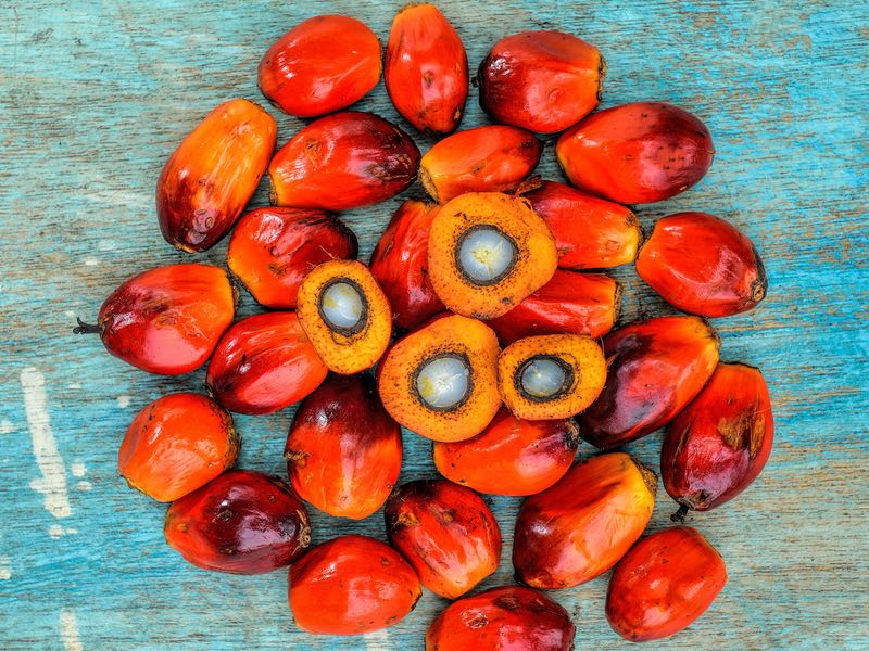 Excelvite reveals the effects of palm mixed-carotene on AMD