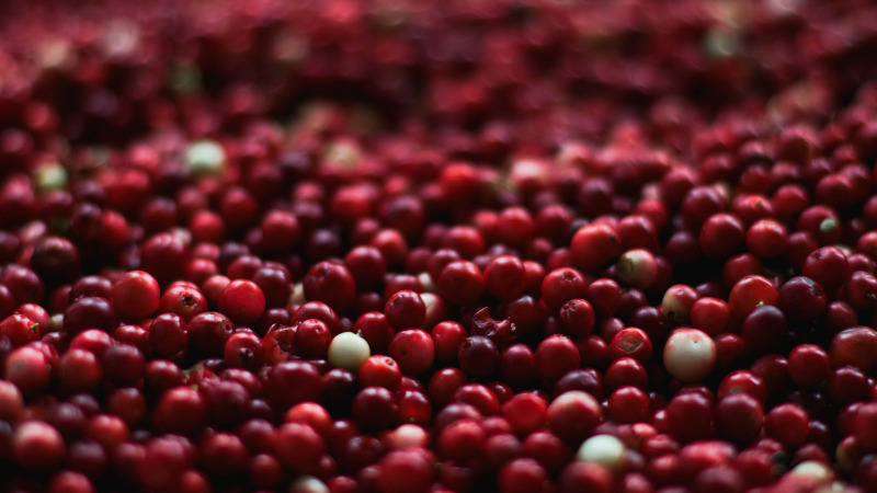 Fruit D’Or clarifies FDA cranberry claims