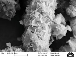 Figure 2: Micrograph of functionalised calcium carbonate
