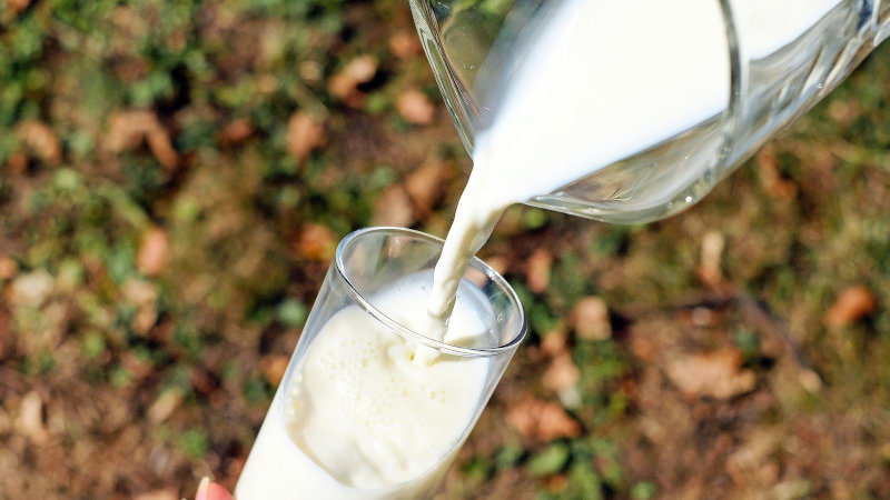 Gadot Biochemical emphasises magnesium production for fortified milks
