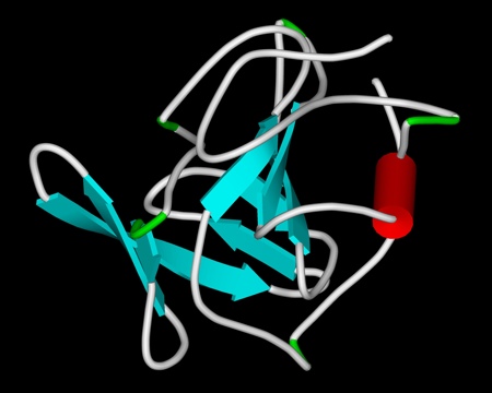 The heated, unfolded molecule