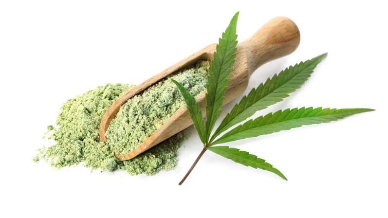 Hemp proteins and CBD: the nutraceutical industry’s rising stars 
