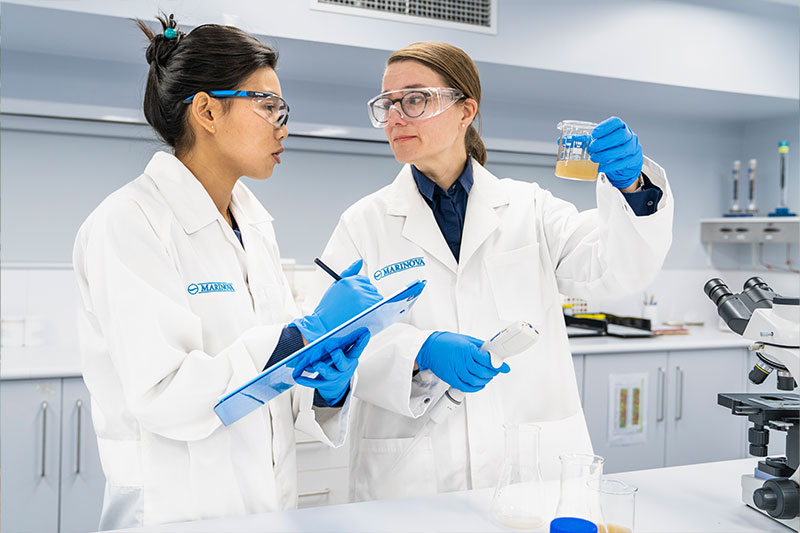 Global research into fucoidan continues to accelerate