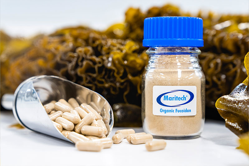 Maritech® organic fucoidan