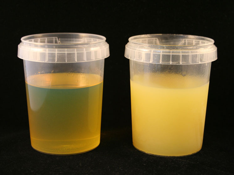 How to avoid thermal oil freezing