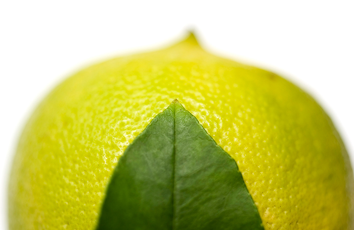 Bergamot