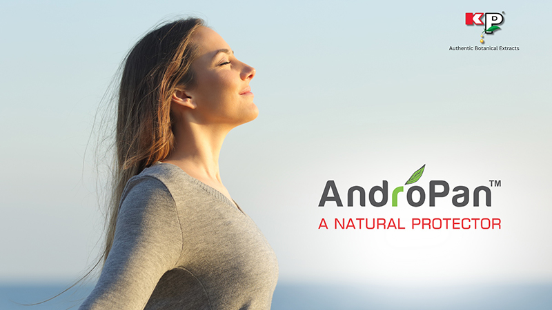 K Patel Phyto Extracts