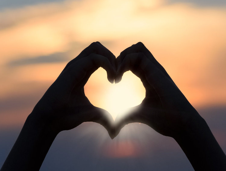 Study shows krill oil reduces liver and fat tissue inflammation