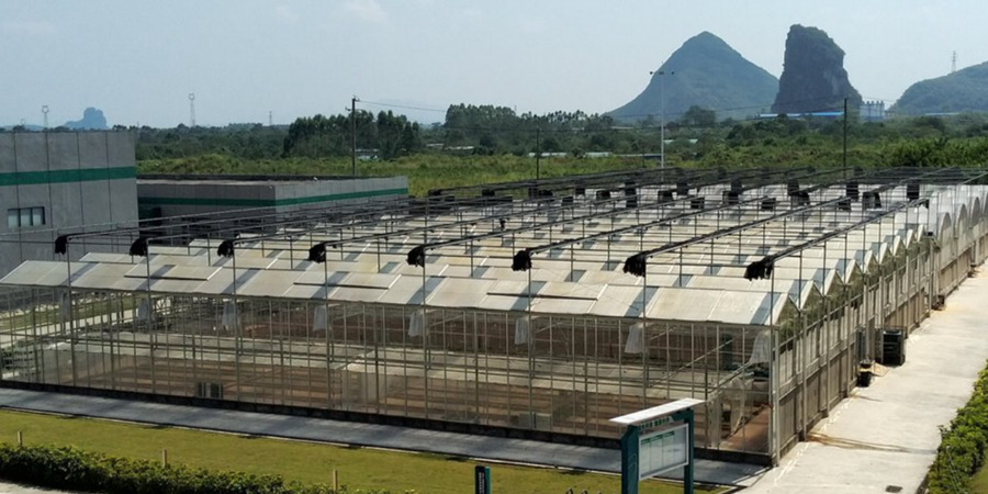 Layn Natural Ingredients bags SAI Gold status for monk fruit ingredient