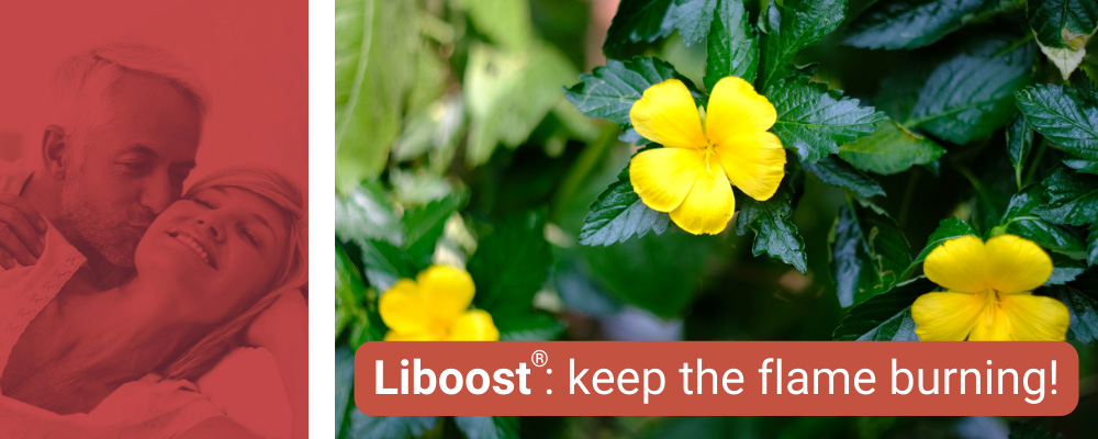 Liboost: keep the flame burning - WATCH NOW