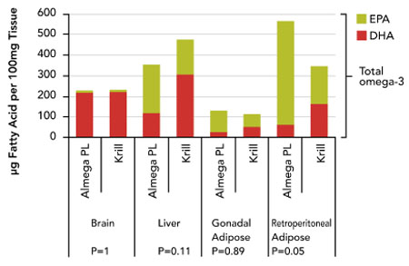 Figure 2: Distribution of EPA and DHA into tissues