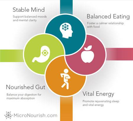 Figure 1: The four pillars of MicroNourish