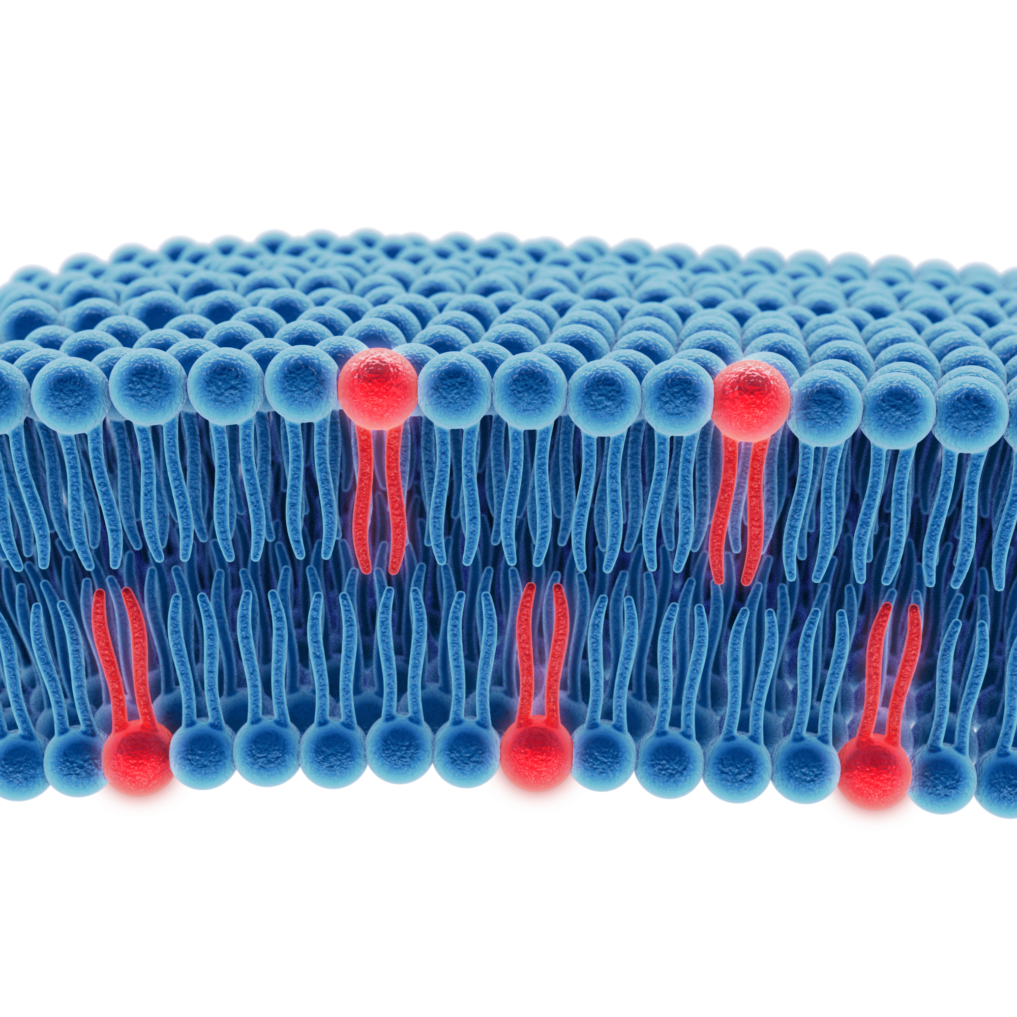 Molecular lipid architecture emerges as a new frontier in omega-3 nutrition