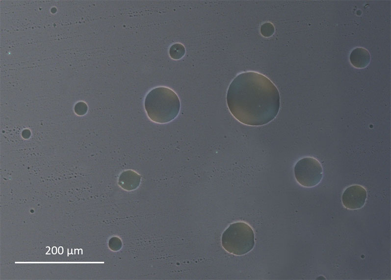 Figure 1: An oil–water pre-emulsion with a lauryl sulphate surfactant taken with a stationary CSS450 stage using an optical microscope with a 10x polarised objective