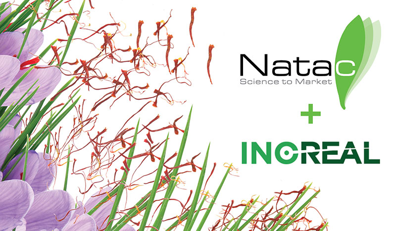 Natac successfully acquires INOREAL to expand their saffron natural product portfolio
